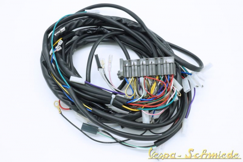 Kabelbaum PX Lusso mit Batterie ohne Gleichrichter 1